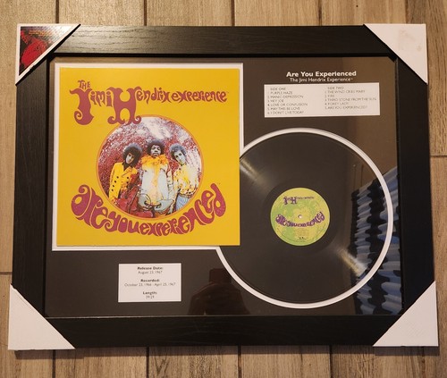 The jimi hendrix experience - the,